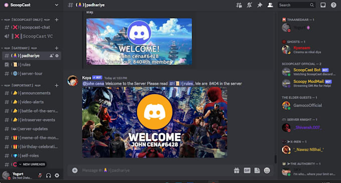 design and manage a discord server for you