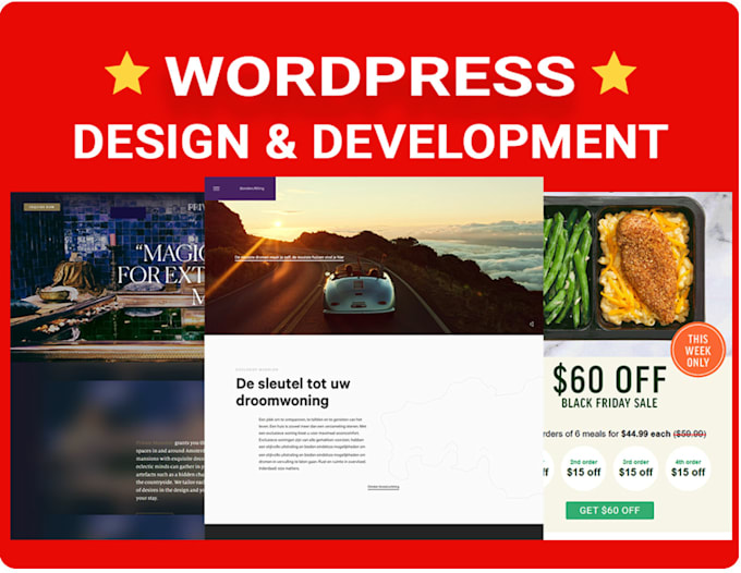 build professional word press website and web design