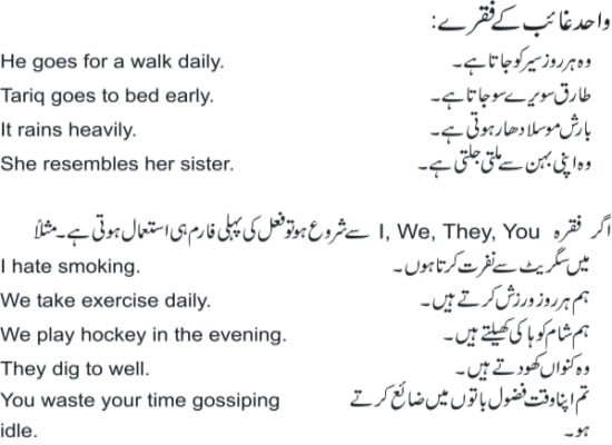 google translate english to urdu sentences