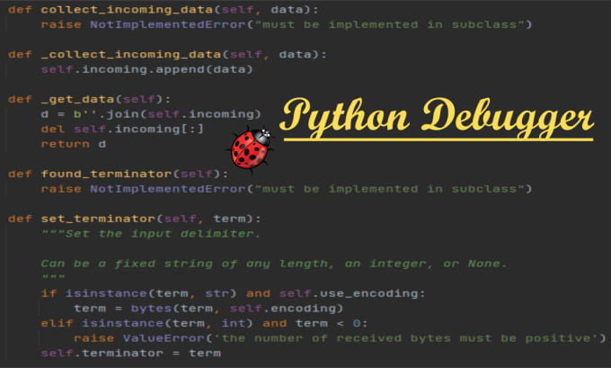 Find and fix bugs in python code by Qrcoder04 | Fiverr