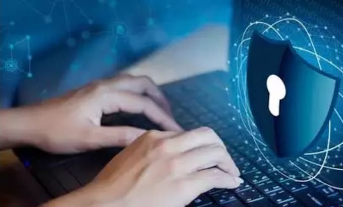 perform cyber security project