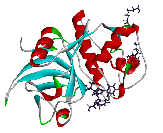 do protein modeling for docking and dynamics