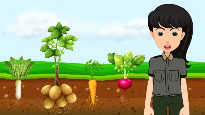 create an animated explainer video for youtube, tiktok, instagram and TV series