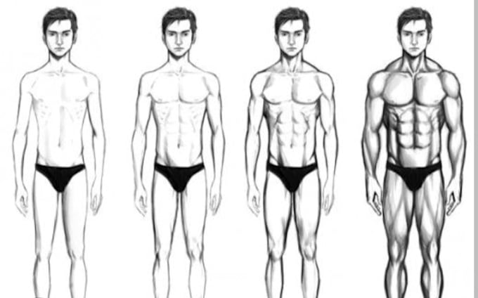 write high quality articles about fitness