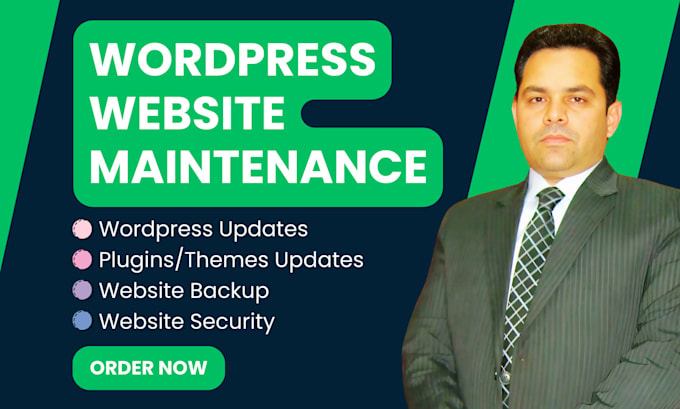 provide wordpress website maintenance and support