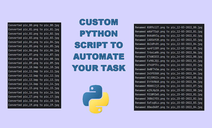 Create a python script to automate a simple task by Polo_vi | Fiverr