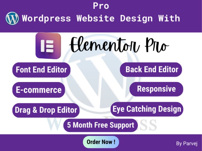 Build wp website design or customize usuing elementor pro by devparvej