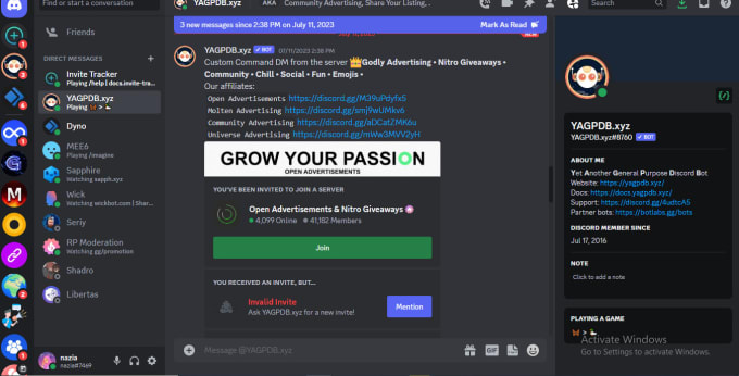 setup custom discord server professionally