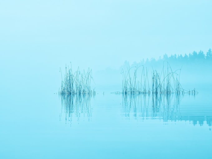 translate polish, finnish, and english