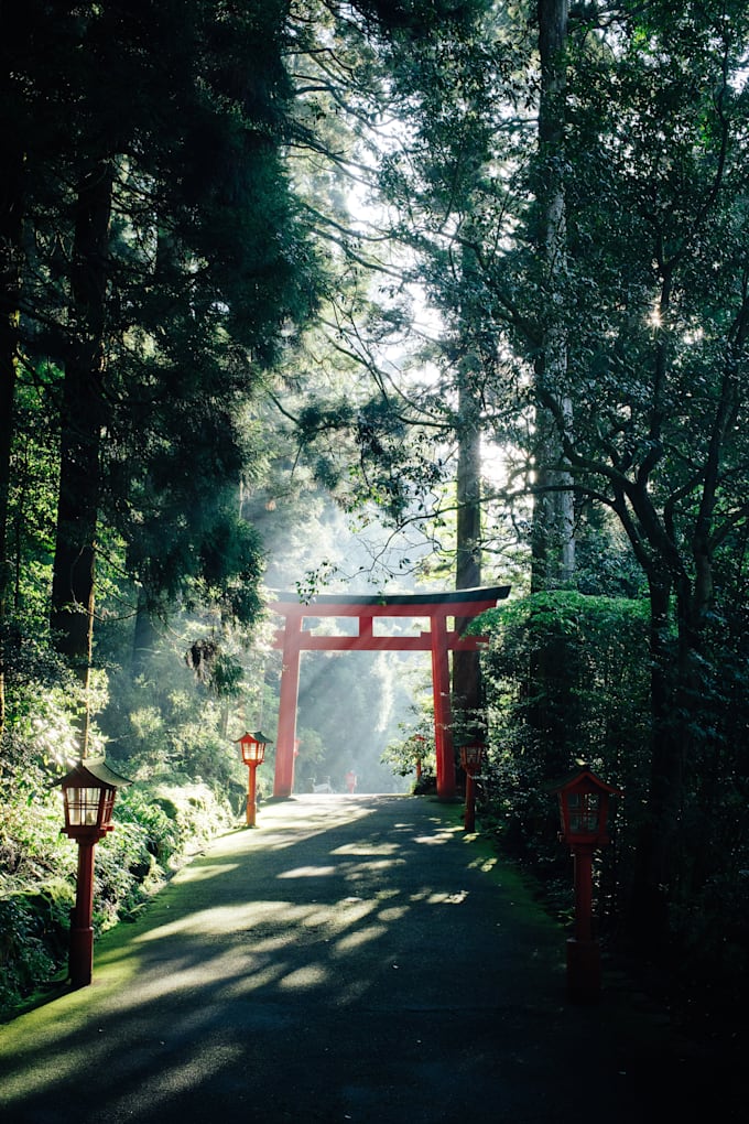 do speaking lessons as a native japanese speaker