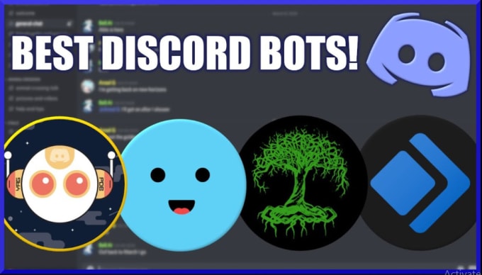 Create custom discord bot by Sarbastian | Fiverr