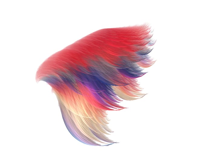 Copertine Per Libri APLI 16915 - Confezione 5 Pezzi, PP Polipropilene, 295mm, Aletta Regolabile - Foto 2