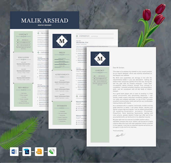 write tech resume, professional resume and cover letter