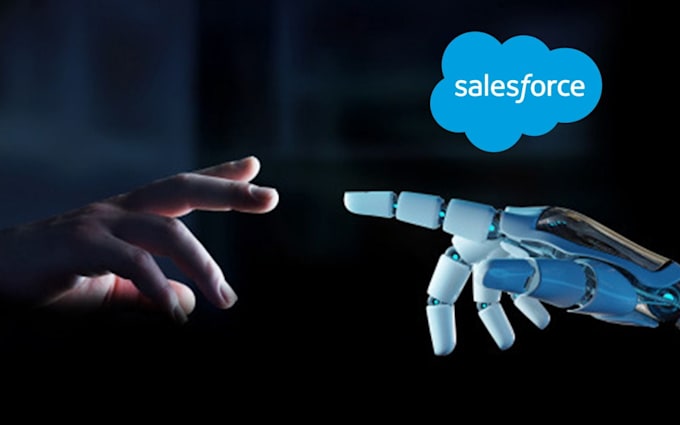 do all salesforce admin and developer tasks
