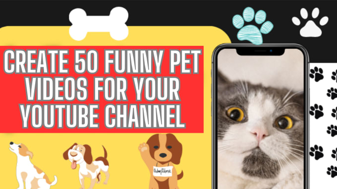 Create 50 funny pet videos for your youtube channel by Burak 5 Fiverr