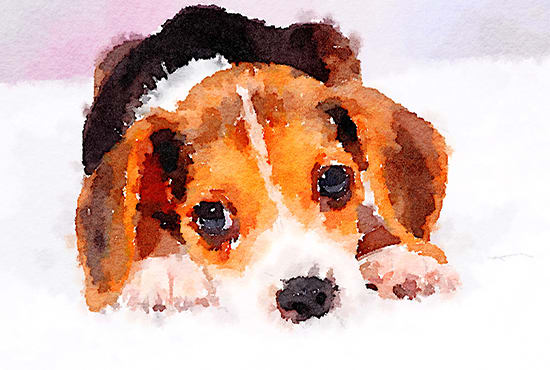 paint your pet in watercolors