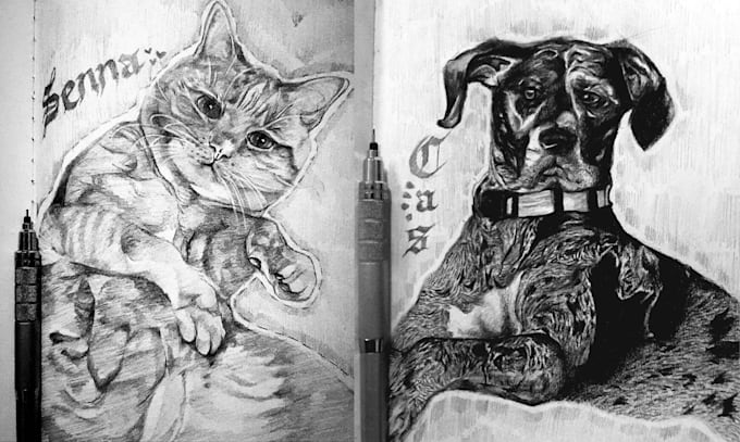 draw your pet portrait drawings