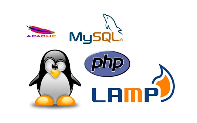 setup linux vps, AWS ec2 , SSL, dns, mail server, cpanel