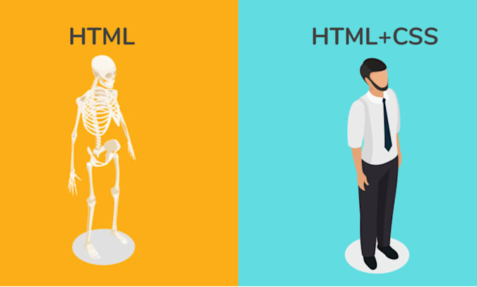 Help out with html and css website customization by Dorzairidev | Fiverr