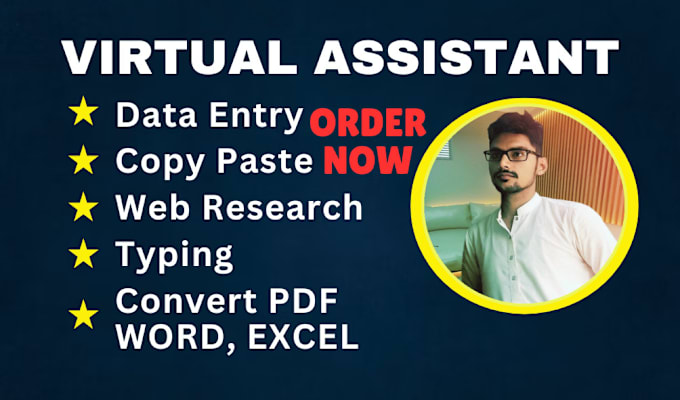 be your virtual assistant for data entry, copy paste, convert pdf, word, excel