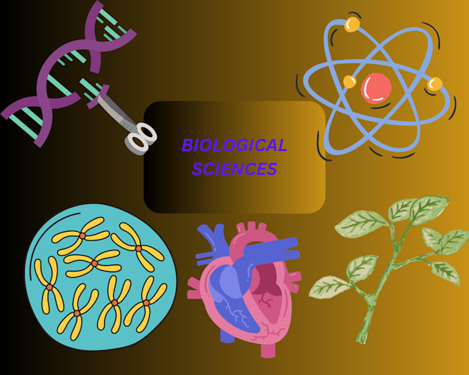 Teach your child biological sciences by Abeerakhan232 Fiverr