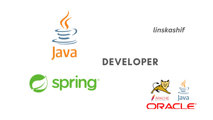 Java spring developer outlet