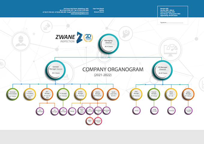 design professional org charts, flow charts within 12 hours