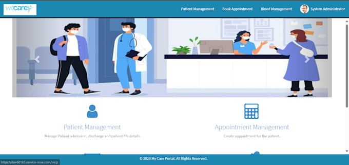 do servicenow consultancy and development