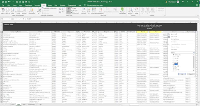 clean and format your excel database