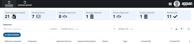 work on appian projects