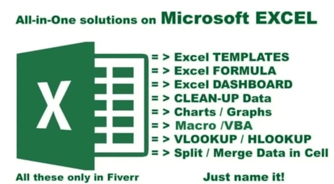 data entery,cleaning,analysis,visualization,pivot table,conditional formatting