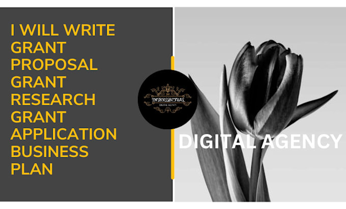 HOW TO CREATE A BUSINESS PLAN FOR A GRANT visual data 6