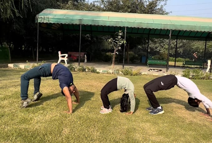 train you in gymnastics calisthenics strength training