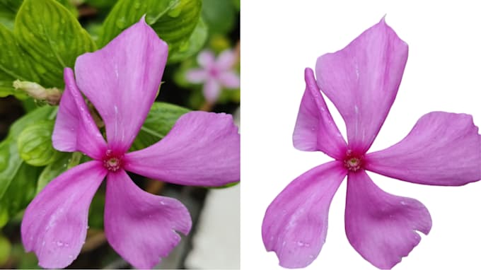 Enhance your visuals with expert background removal by Profreelanser4u ...