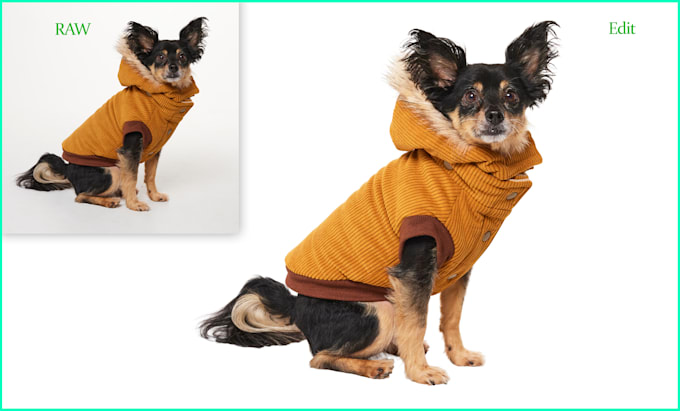 dog hair masking and  remove background product retouch