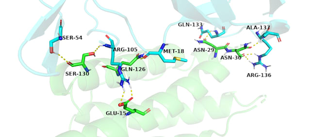 assist you in peptides and protein protein docking