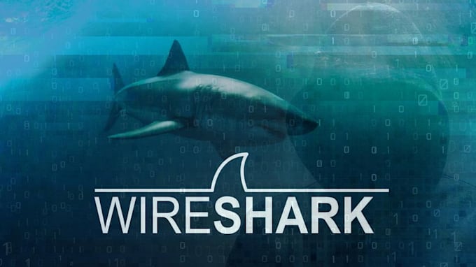 do wireshark analysis and report