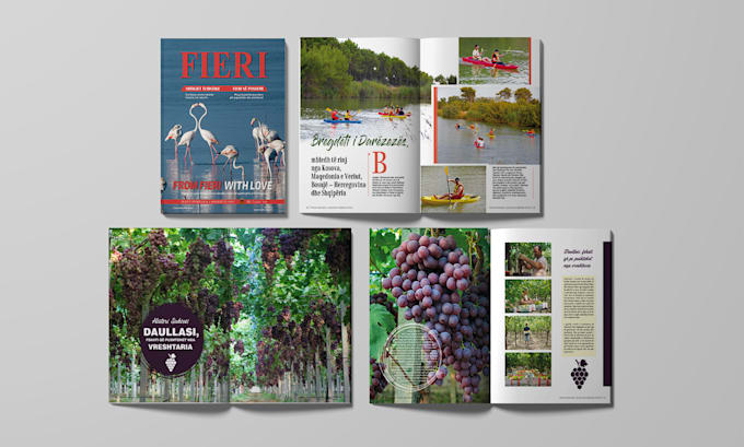 design catalog, magazine and any project with adobe indesign