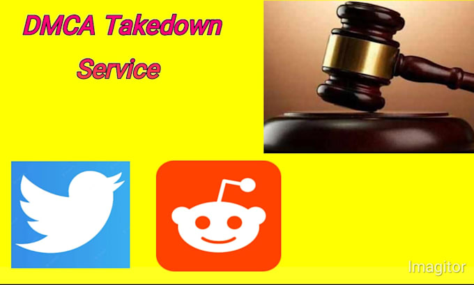 report from twitter,reddit under dmca