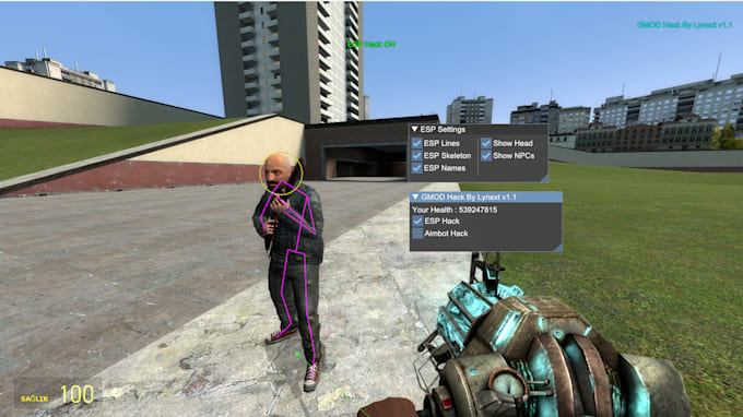 teach you how to write hacks for video games