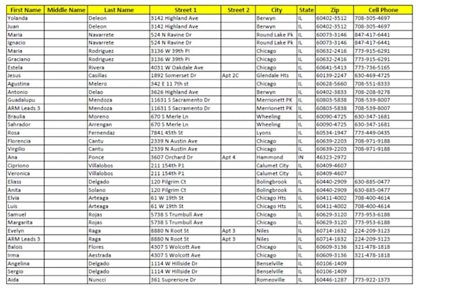 Accurate numeric data entry with attention to detail by Aqeel_deo | Fiverr