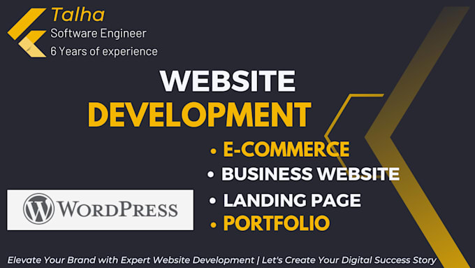 develop professional business website development