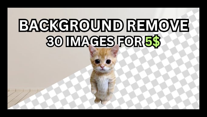 do image background removal with fast delivery