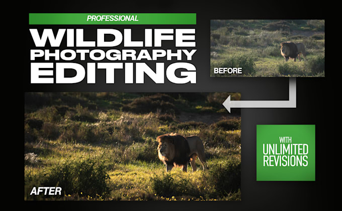 edit and retouch your wildlife photography