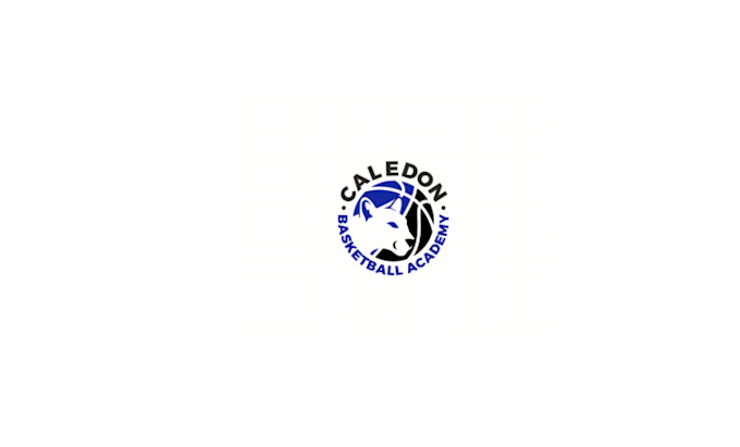 design splendid sophisticated basketball academy logo