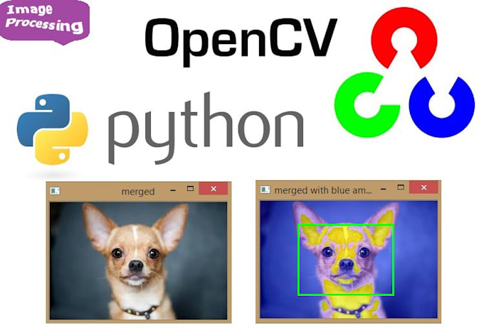 Do classification, image processing in opencv, computer vision and deep ...