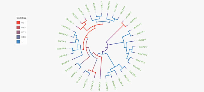 do phylogenetic analysis and tree construction