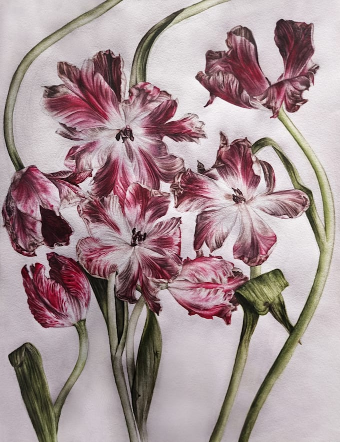 create a nature or scientific illustration