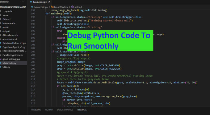 Debug your python code and run it by Nazbul | Fiverr