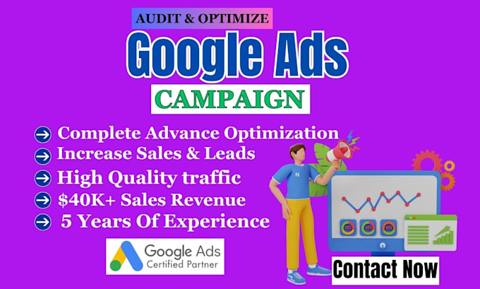 expertly audit and manage google ads adwords PPC campaigns